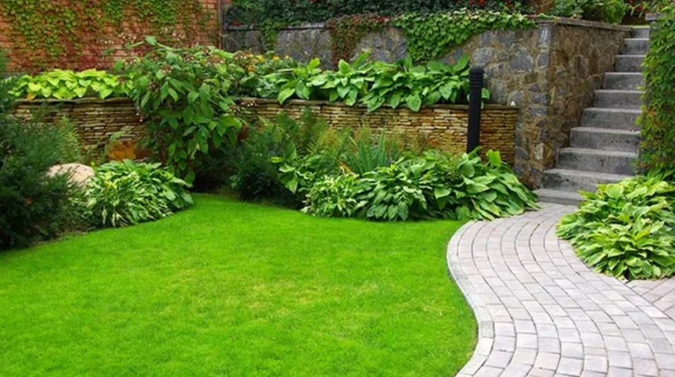 Questions To Ask Your Landscape Company